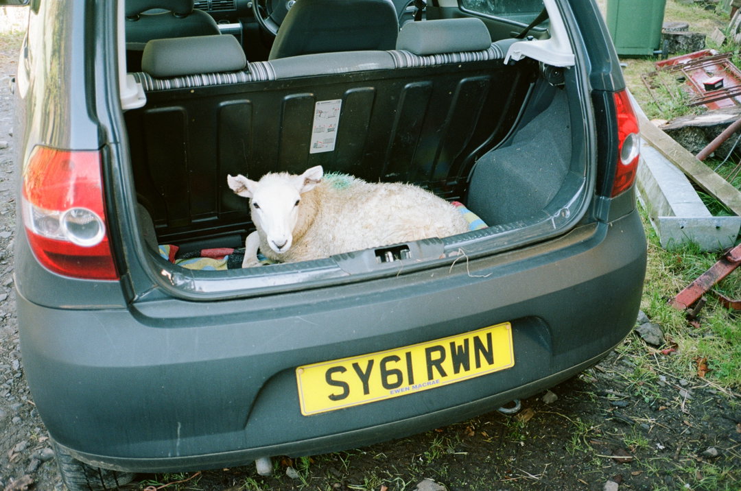 vinca-peterson-hulala-pho-itsnicethat06