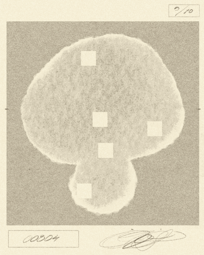 iris-wildros-ani-itsnicethat01