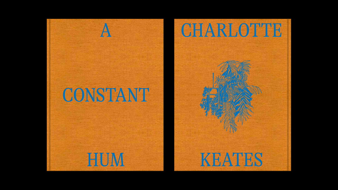01_A_Constant_Hum_Callin_Mackintosh.jpg