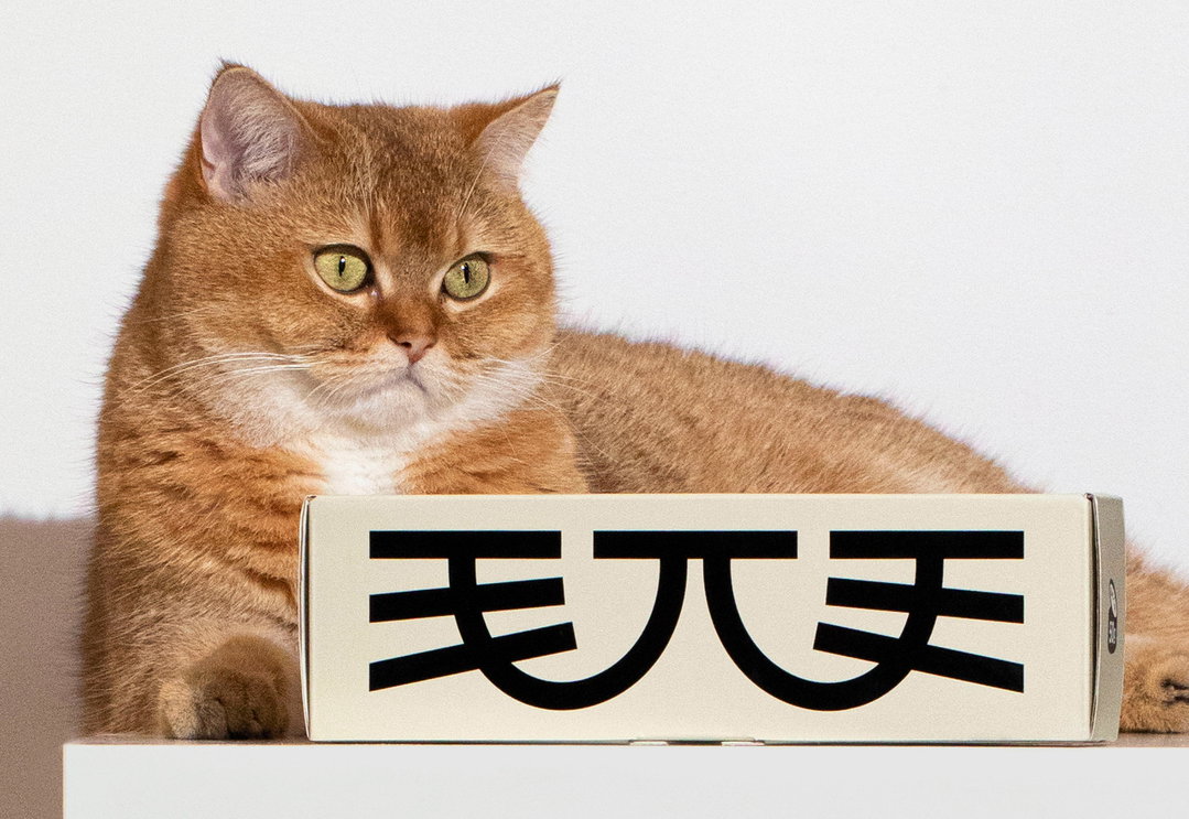 dxd-studio-mawoo-itsnicethat13