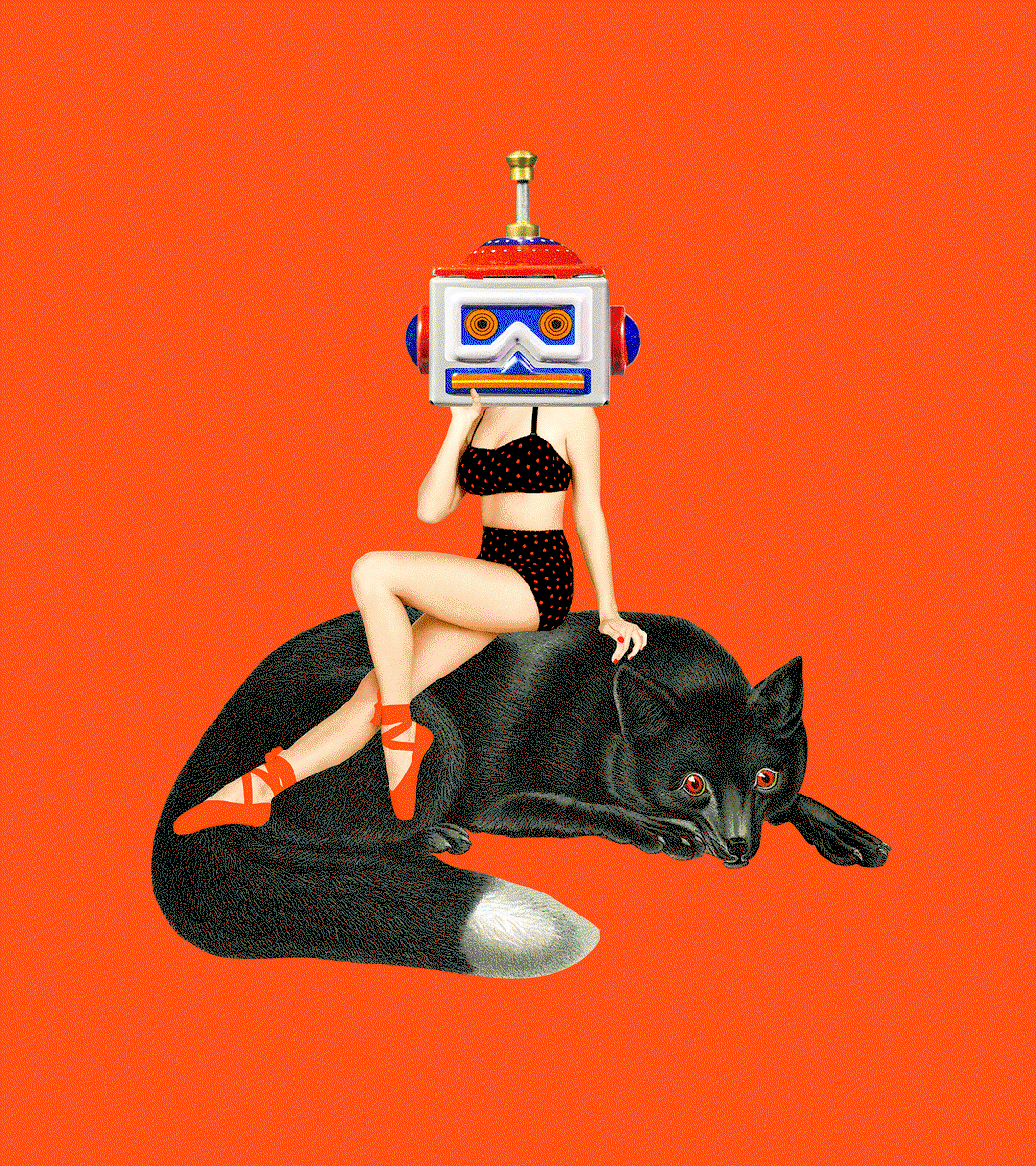 02_Baboon_Illustrations.gif