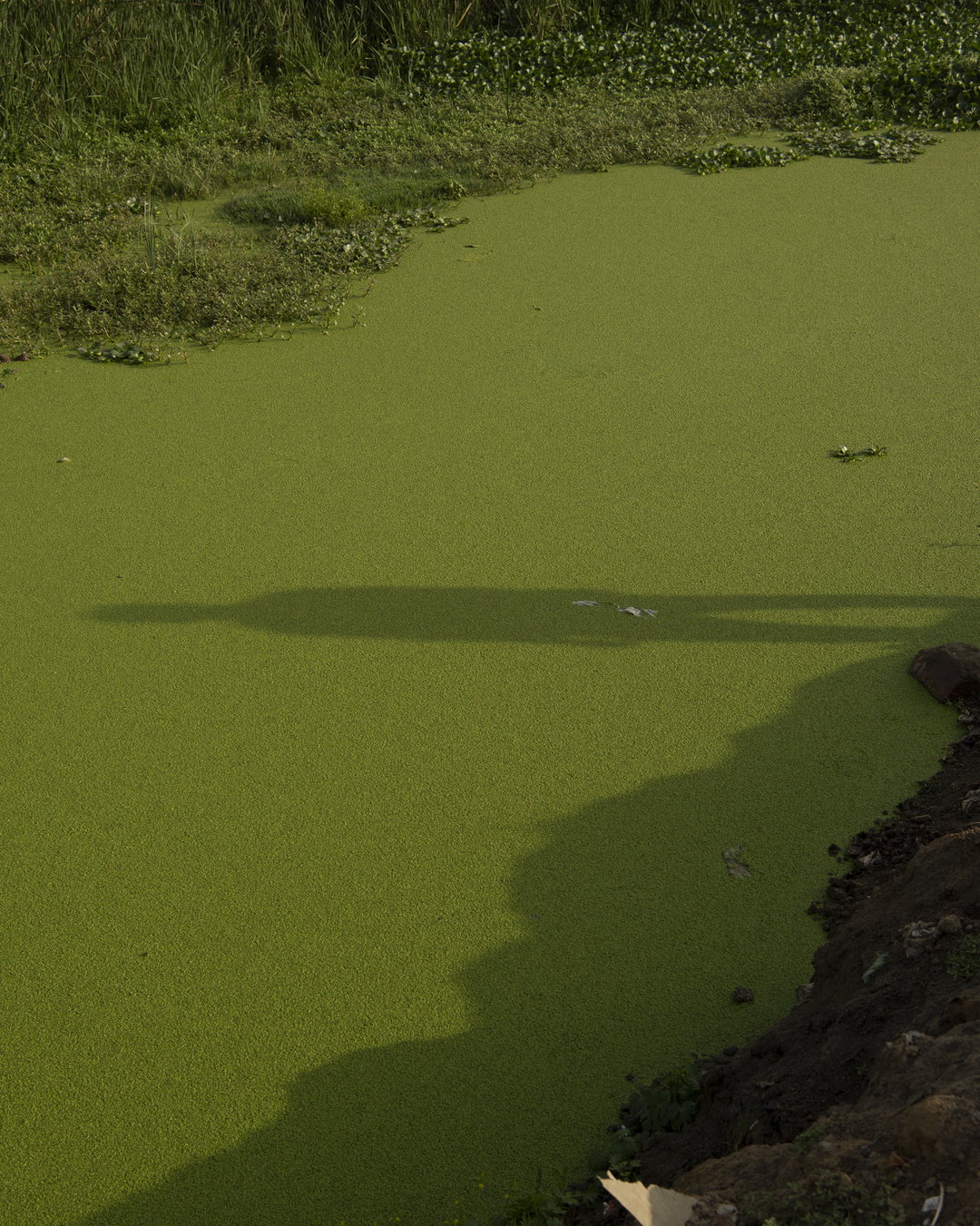 abhishek-khedekar-pho-itsnicethat05