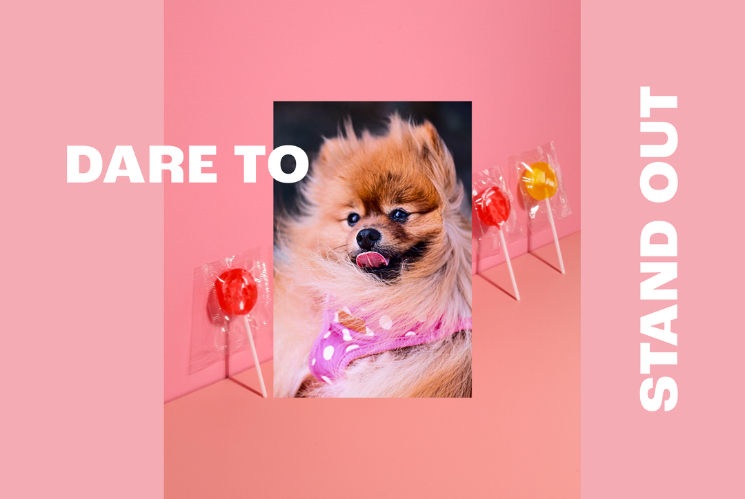 frontify-spon-con-itsnicethat04