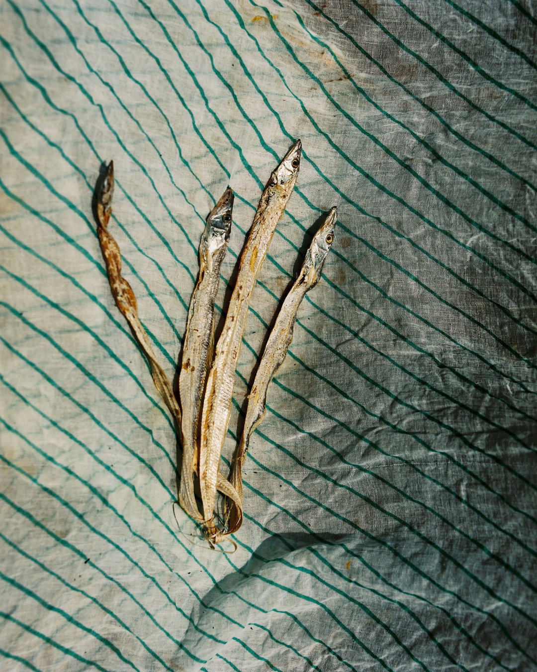 abhishek-khedekar-pho-itsnicethat06