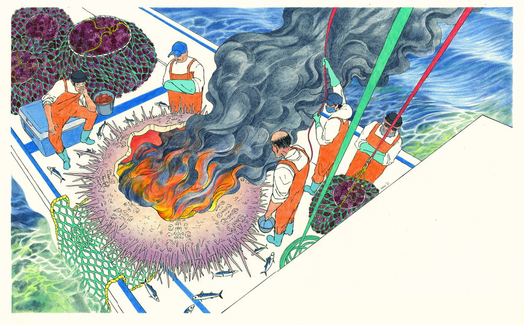 04_Joey Han_URCHIN_ItsNiceThat.jpg