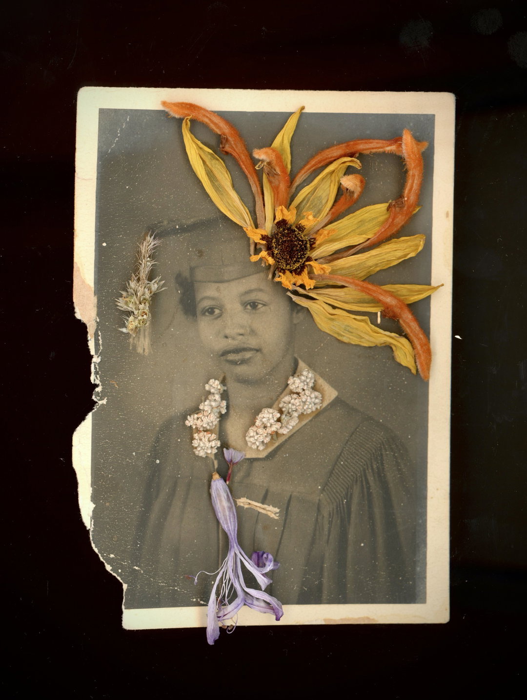 Da'Shaunae-Marisa-ephemeral-roots-art-itsnicethat-05