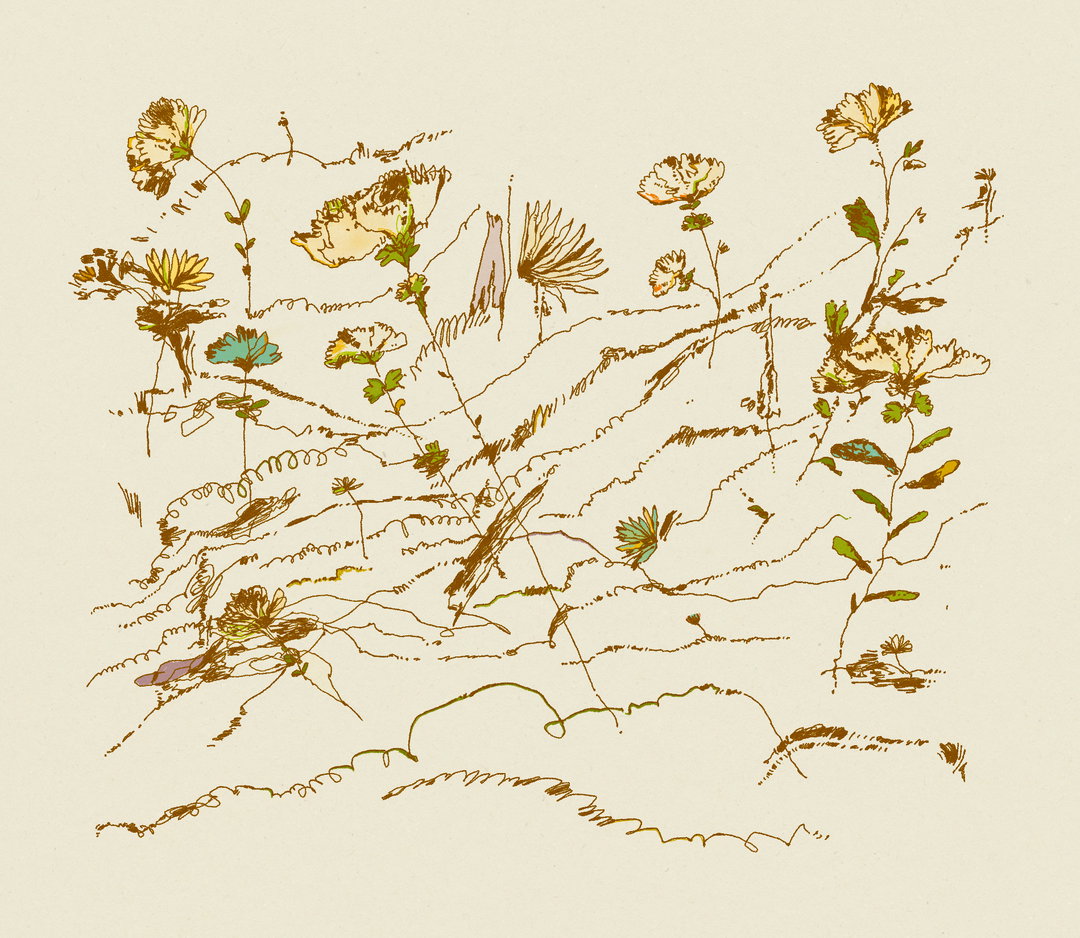 sakshi-jain-ani-itsnicethat03
