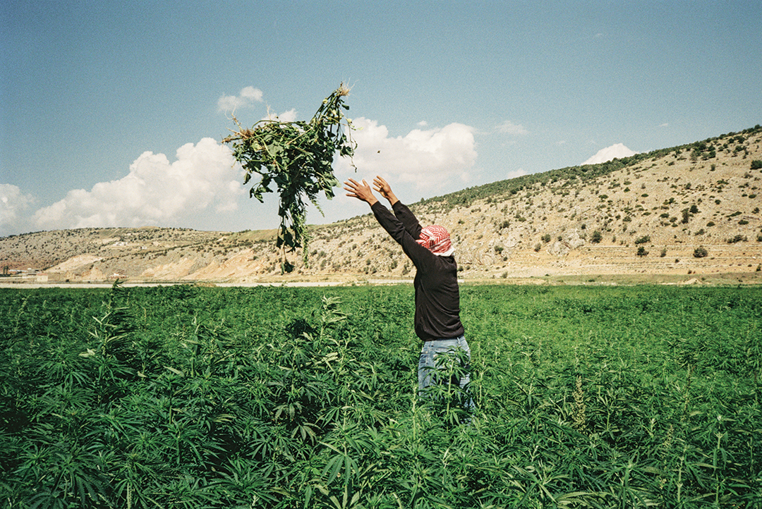 gossamer-ones-to-watch-itsnicethat-05