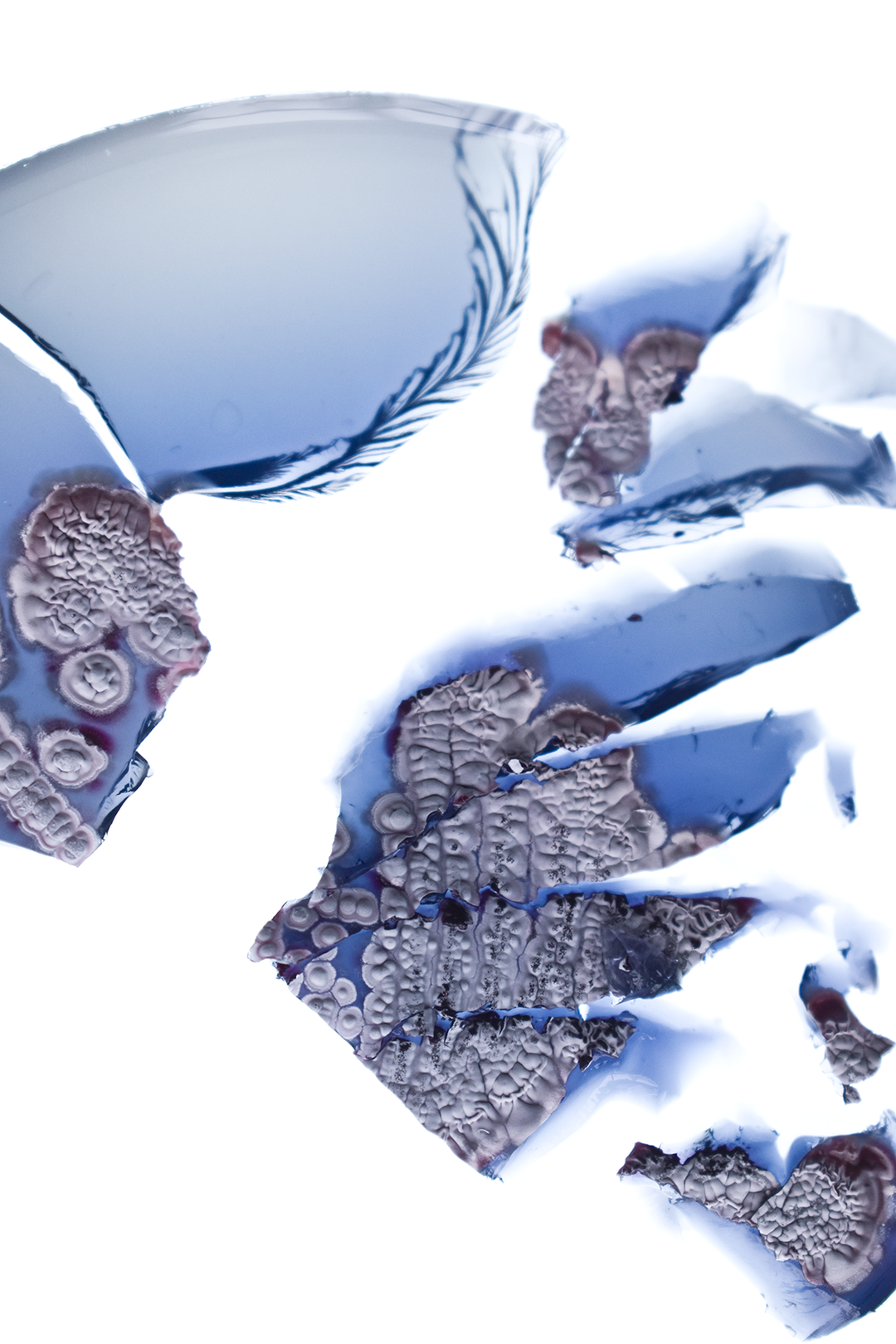 07-INT-OTW-NatsaiChieza.png