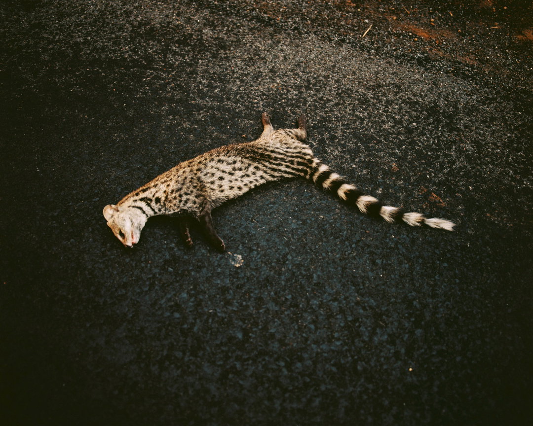abhishek-khedekar-pho-itsnicethat11