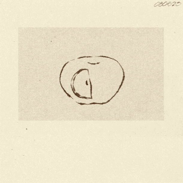 iris-wildros-ani-itsnicethat02