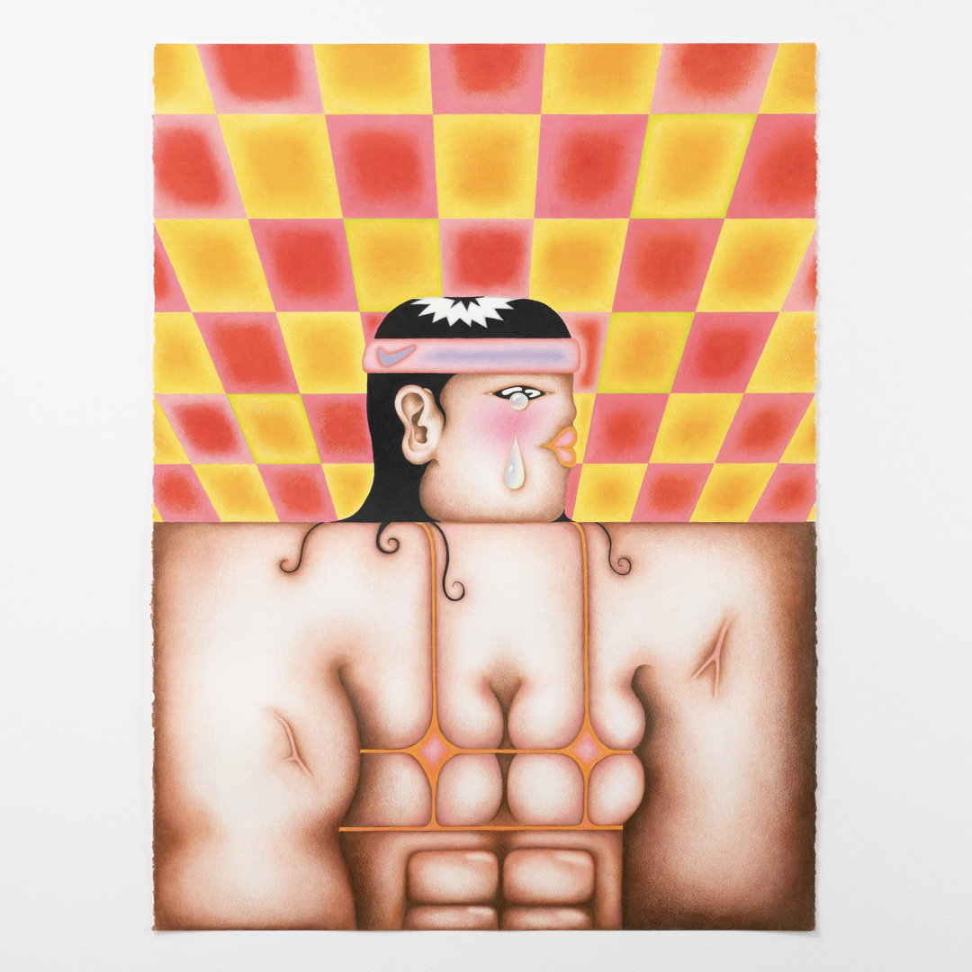 1. Exhibition Image_Sierra Metro_Haein Kim_Hard Body Soft Emotions_2023_colour pencils on paper_57x76cm.JPG