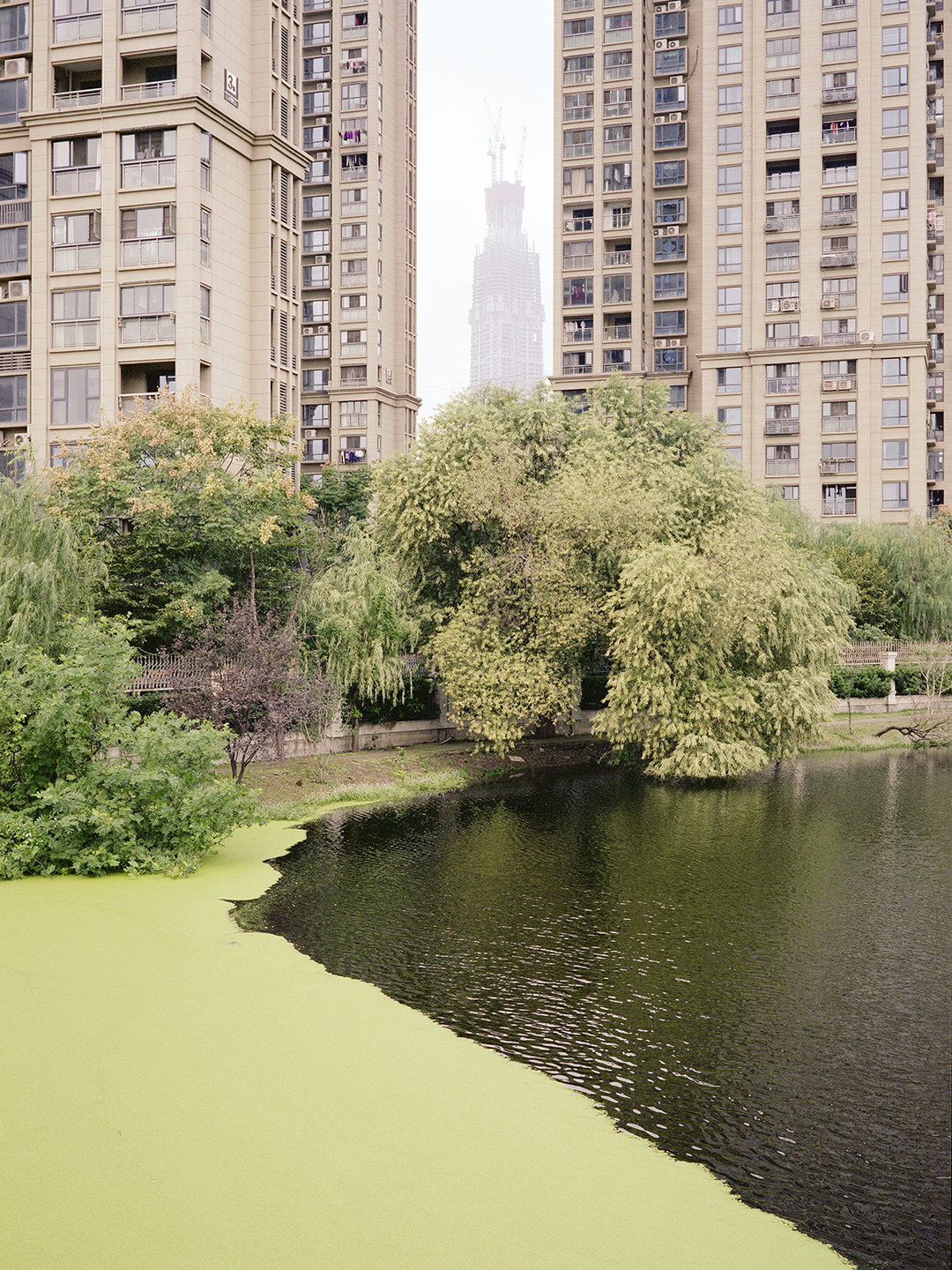 FergusCoyle-GreenlandCentreLakeView-Wuhan-Photography-itsnicethat.jpg