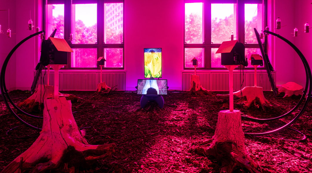 10. Heather Phillipson_Mesocosmic Indoor Overture_installation view, Martin Gropius Bau, 2019 copy.jpg