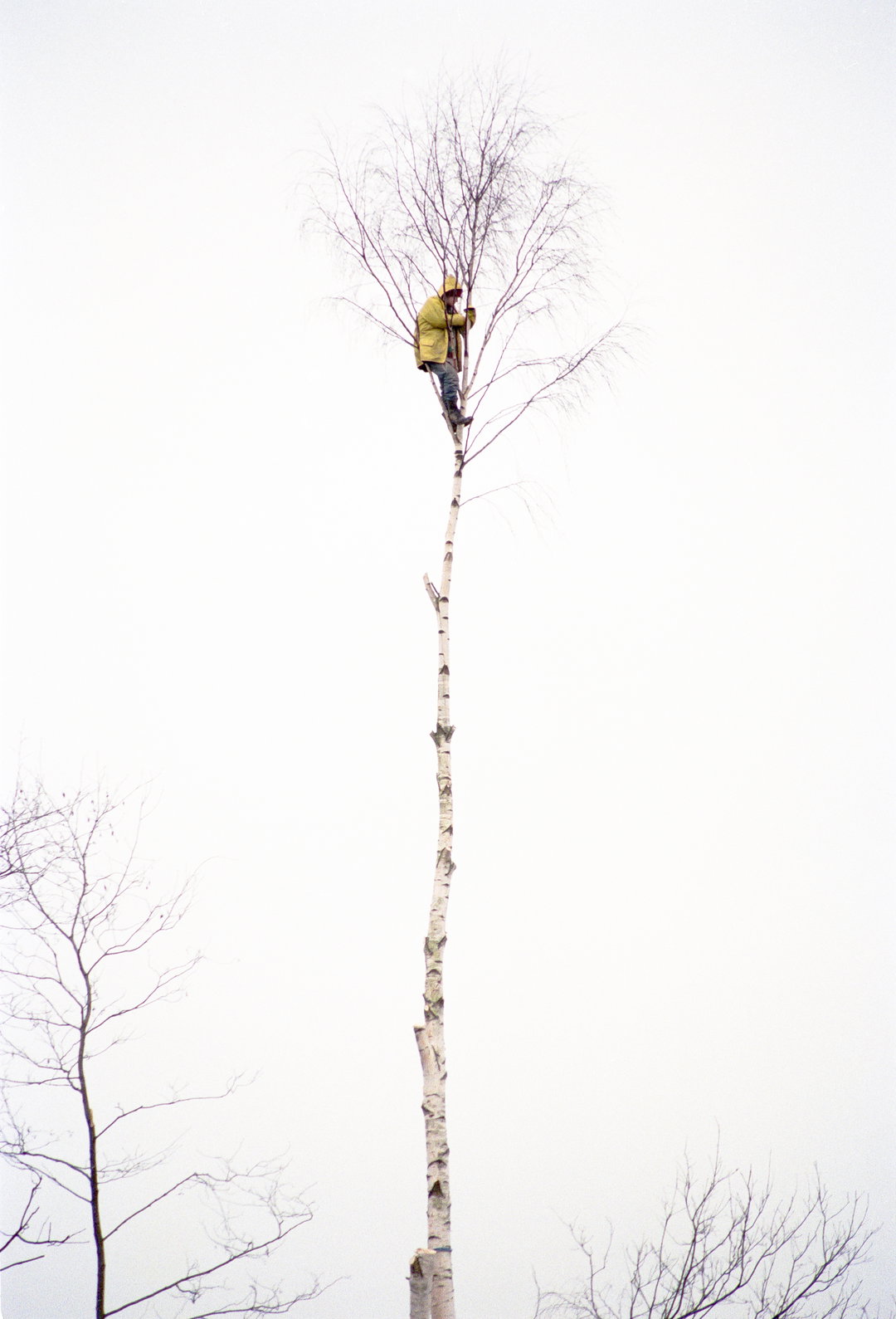 10©AdrianFisk.jpg