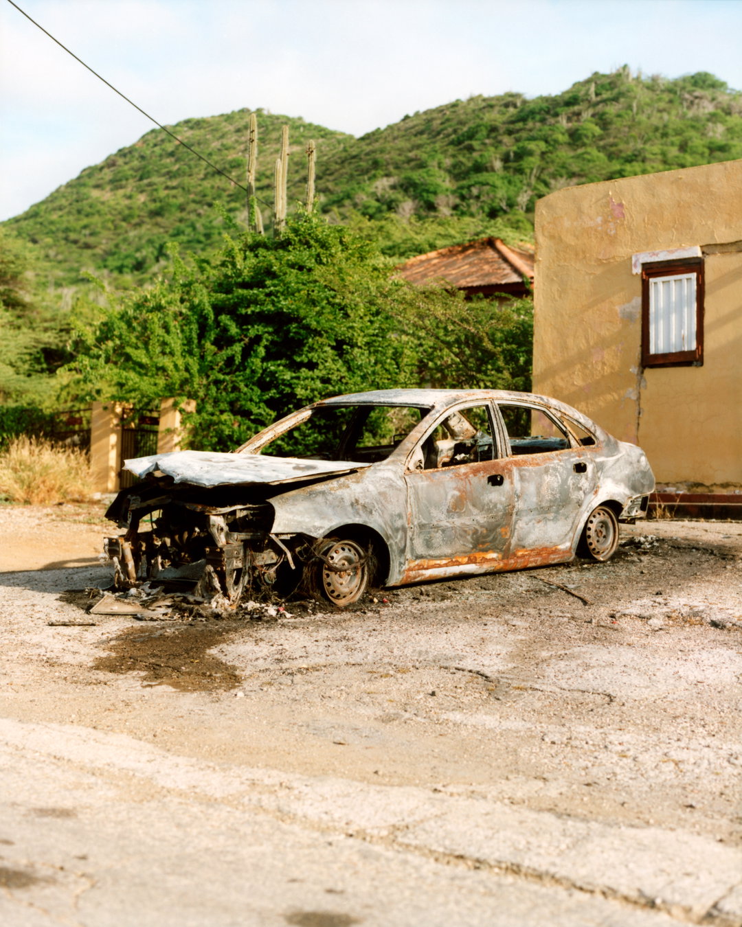 elizar-veerman-pho-itsnicethat07