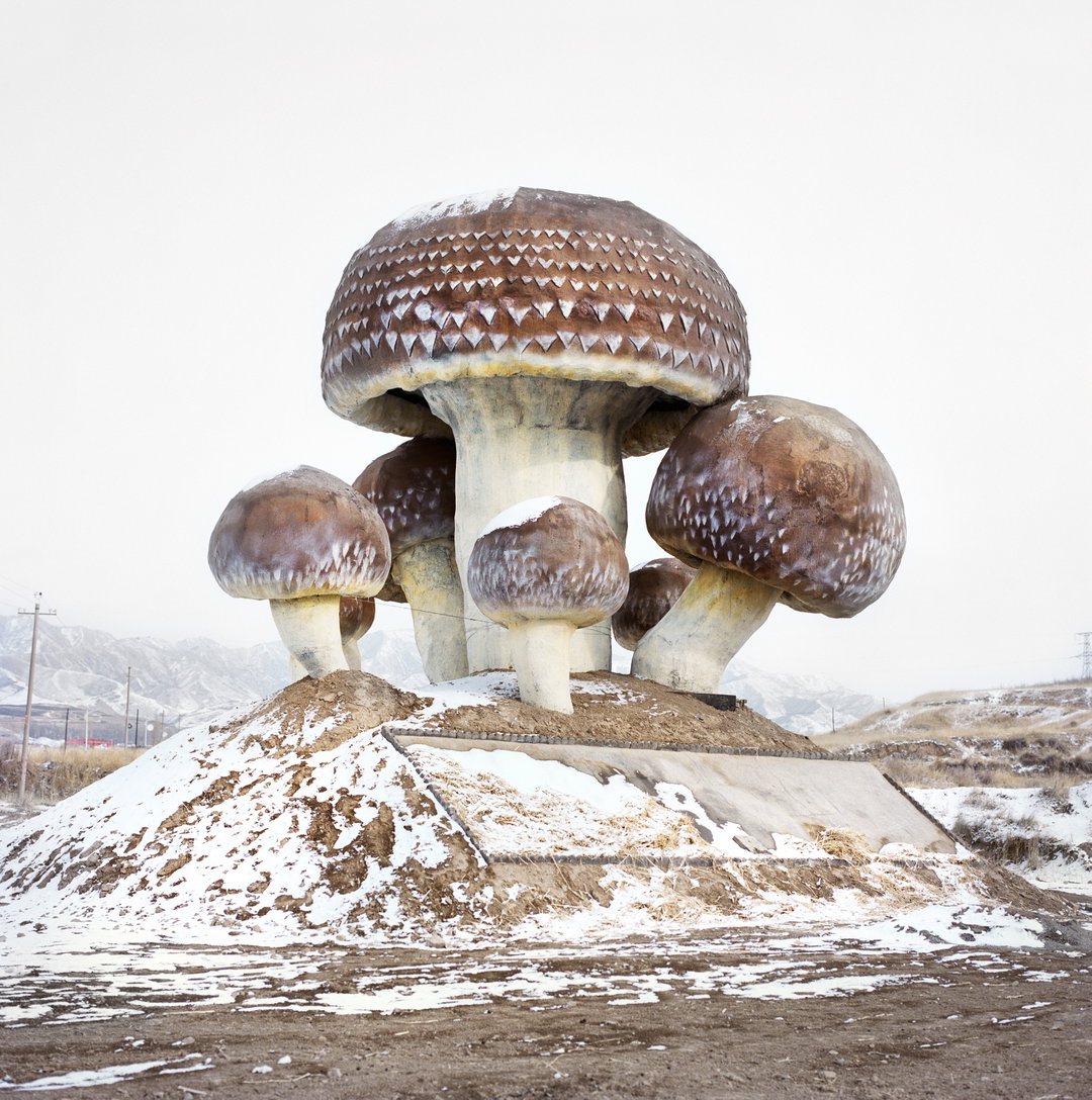 XiaoxiaoXu-Wateringmyhorse-Photography-itsnicethat.jpg