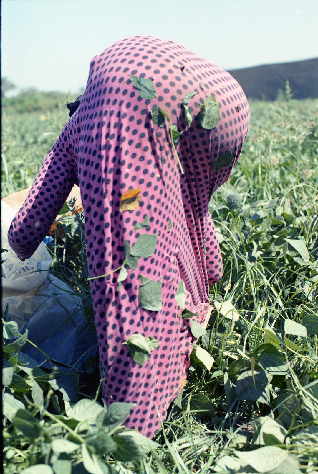 HanaGamal-GreenGrass-Photography-ItsNiceThat