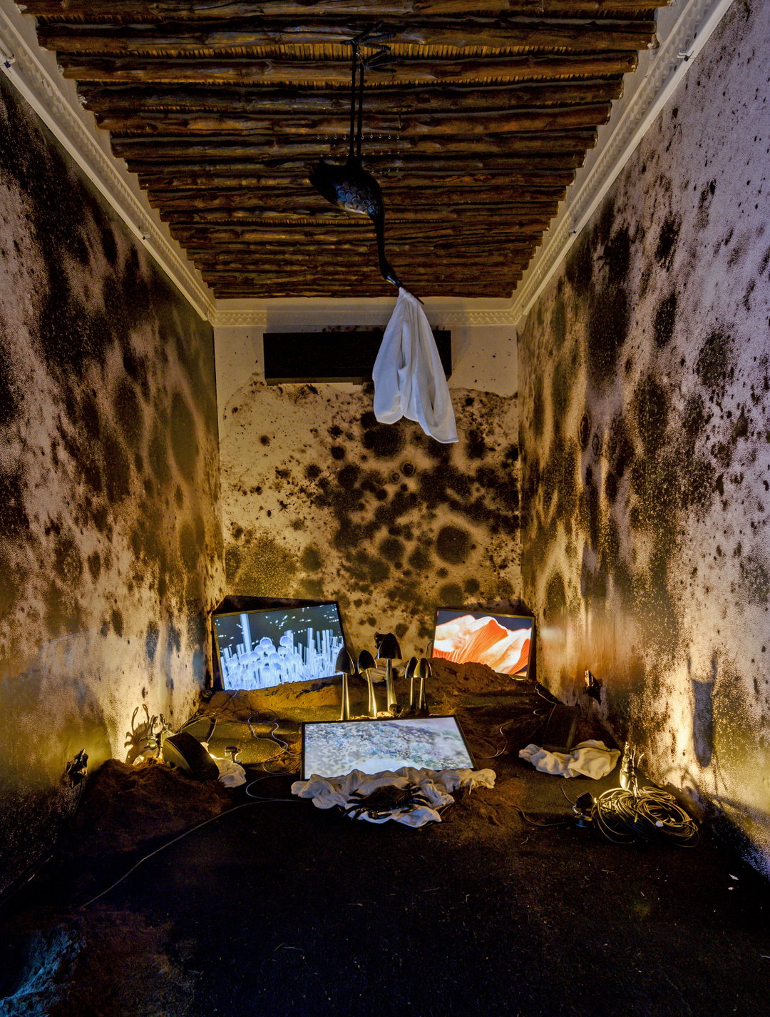 12. Heather Phillipson, Cyclonic Palate Cleanser_Sharjah Biennial, 2019 copy.jpg
