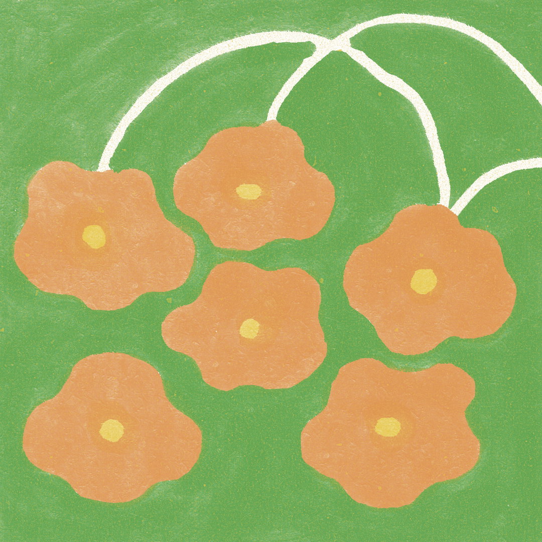 yo-li-illustration-discover-itsnicethat-11