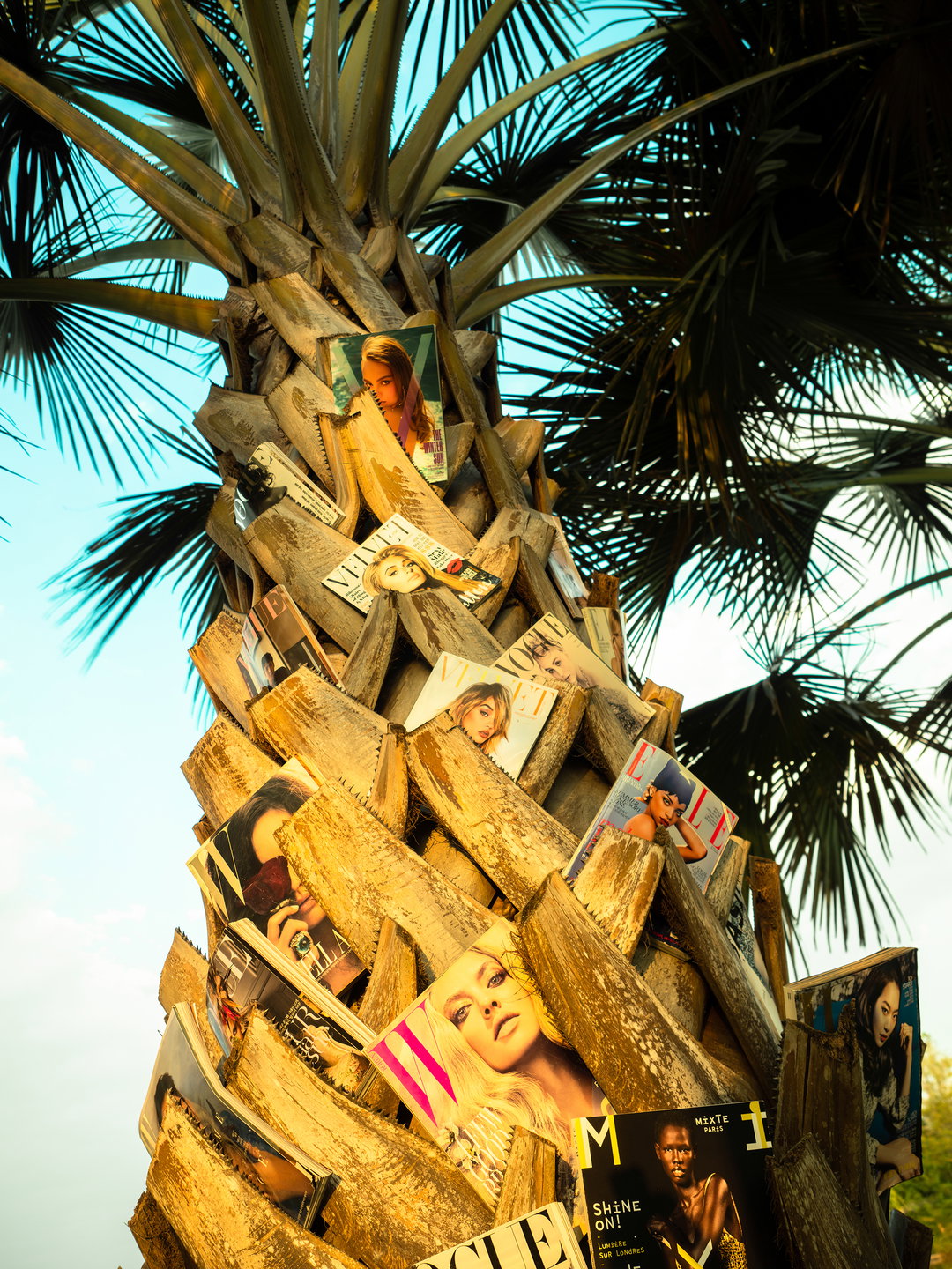 12 Palm tree + fashion magazine.jpg