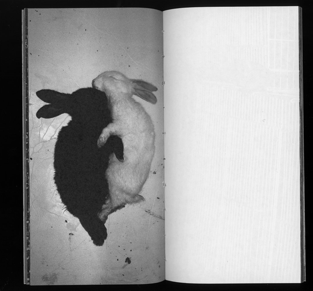 12yihan-pan-jose-canderas-photo-itsnicethat.jpg