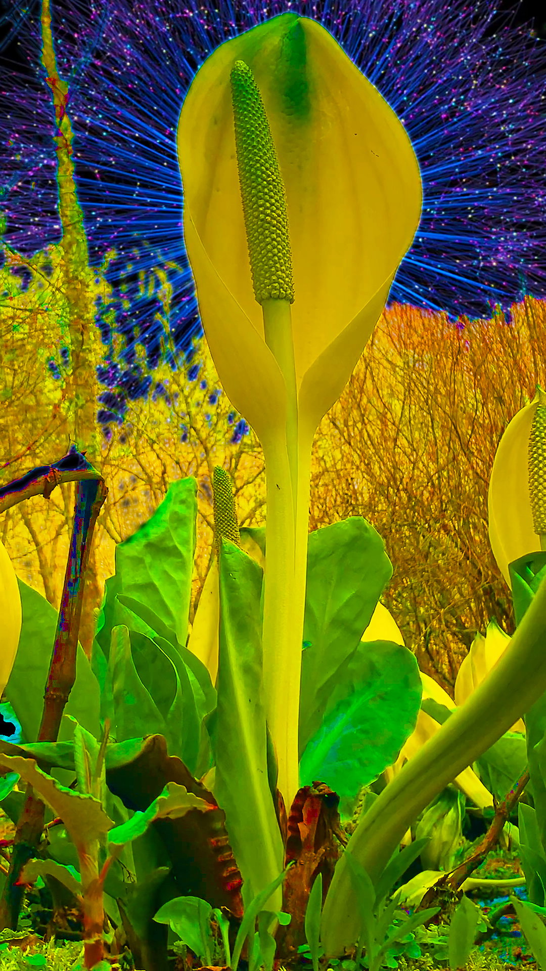 13. Heather Phillipson_Mesocosmic Indoor Overture_2019 copy.jpg