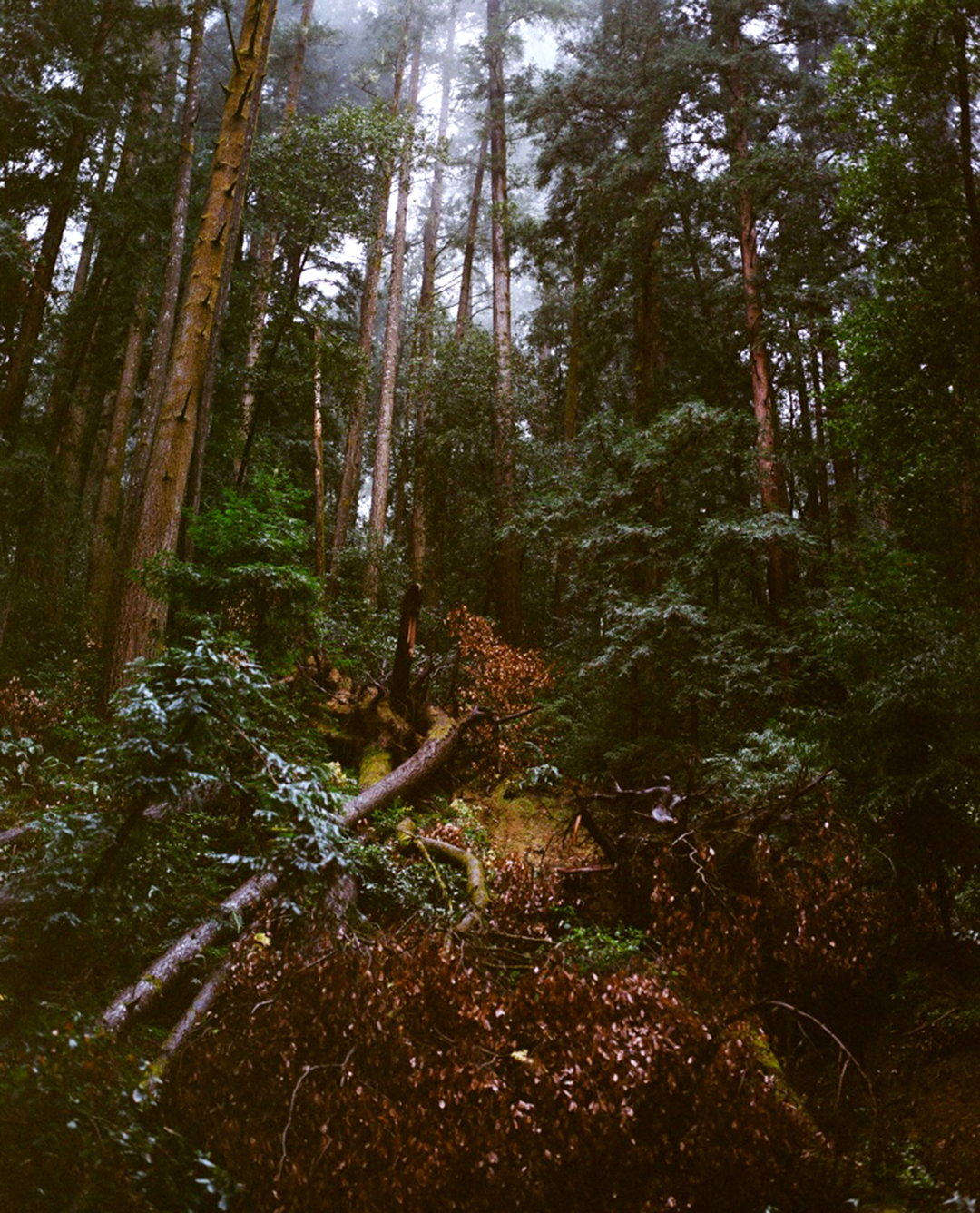 samantha-jensen-photography-itsnicethat-12