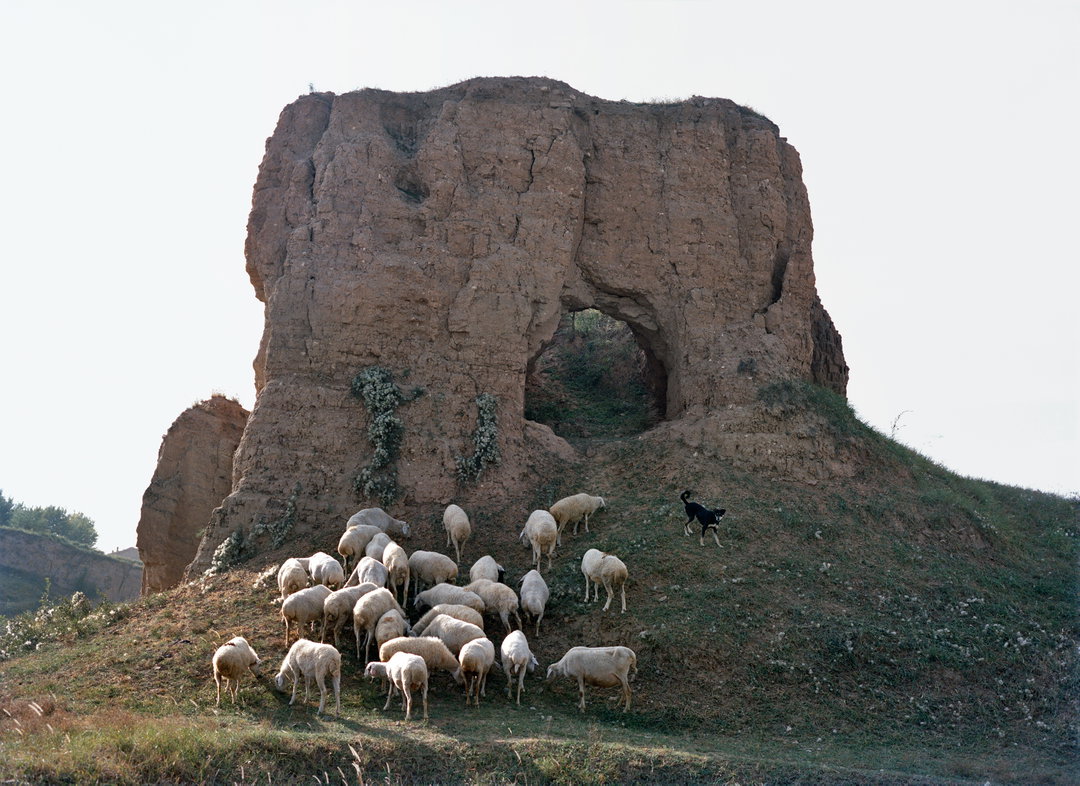XiaoxiaoXu-Wateringmyhorse-Photography-itsnicethat.jpg