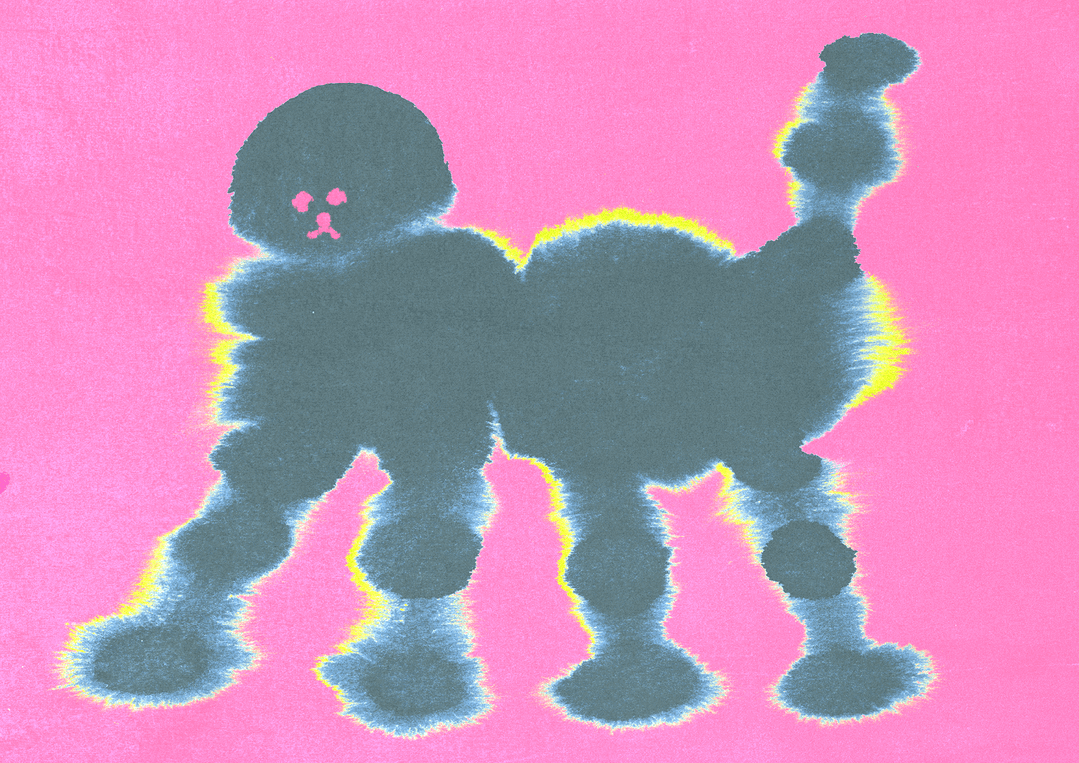 fran-albergo-illo-itsnicethat04