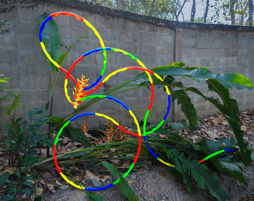 14 Heliconia+self-assembly hula hoop.jpg