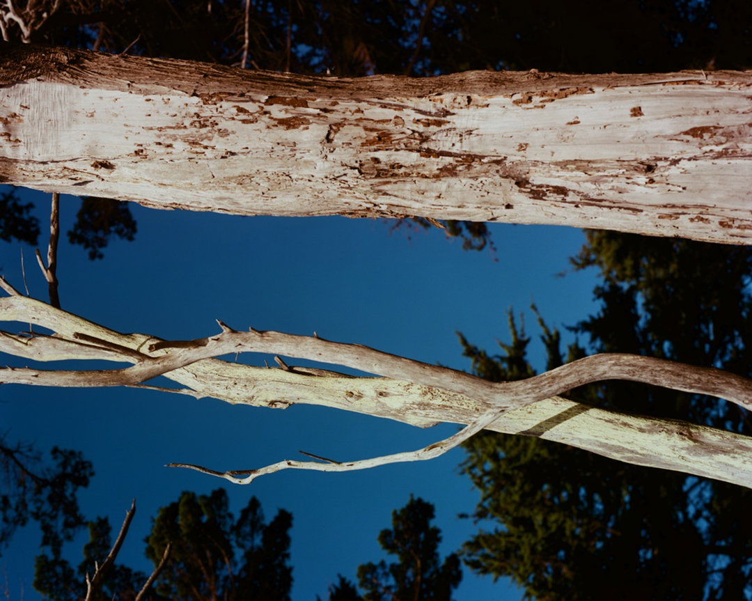 samantha-jensen-photography-itsnicethat-13