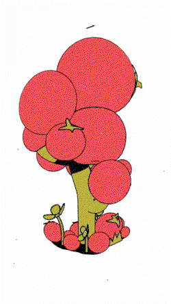 plantopia-animation-illustration-discover-itsnicethat-11