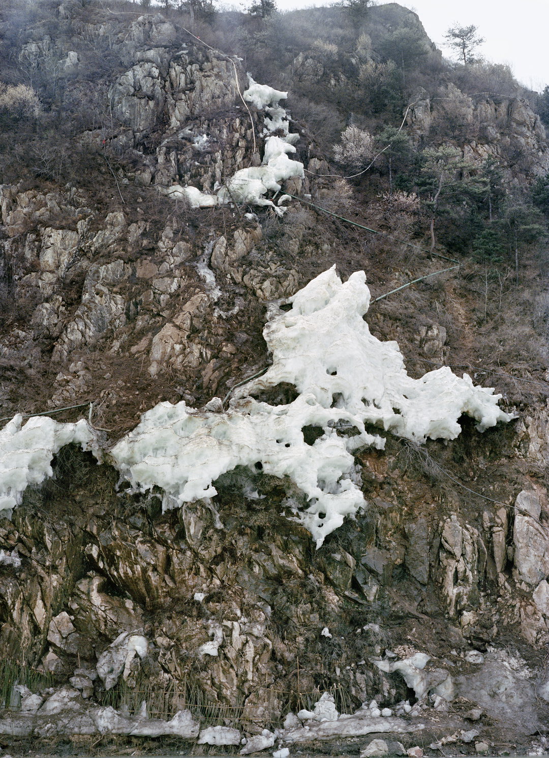 XiaoxiaoXu-Wateringmyhorse-Photography-itsnicethat.jpg