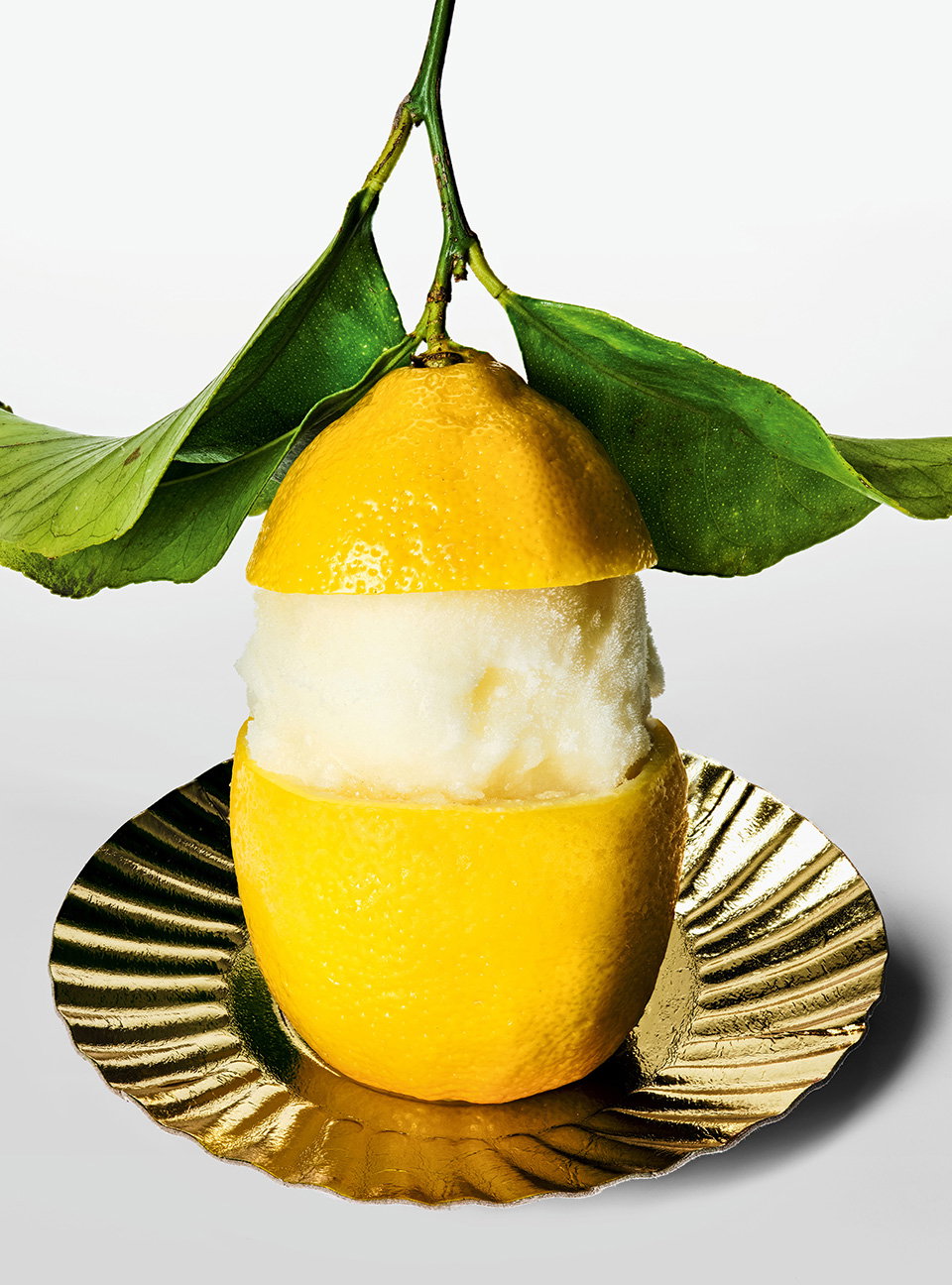 the-gourmand-lemon-publication-itsnicethat05