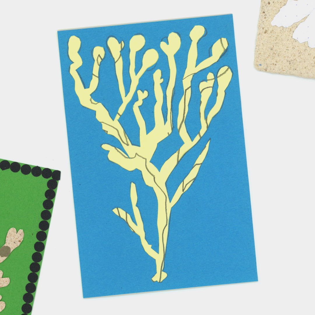 Underwater worlds and soft marine shapes: Julie Legrand and Nina Izycka’s zine investigates seaweed