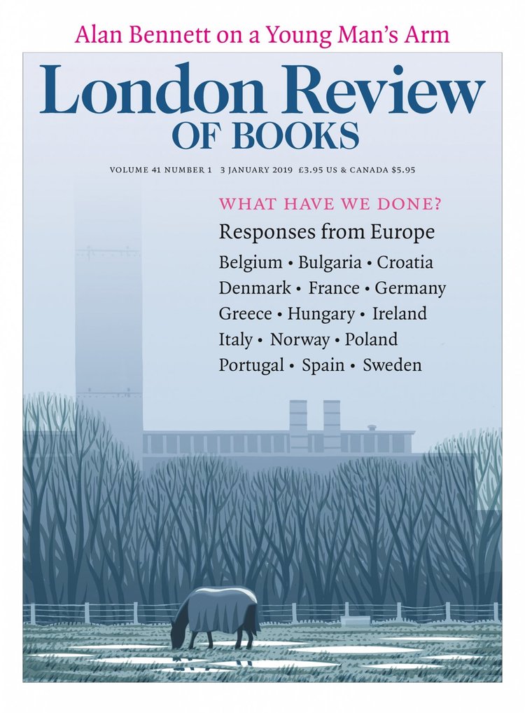 jon-mcnaught-spotlight-illo-itsnicethat14