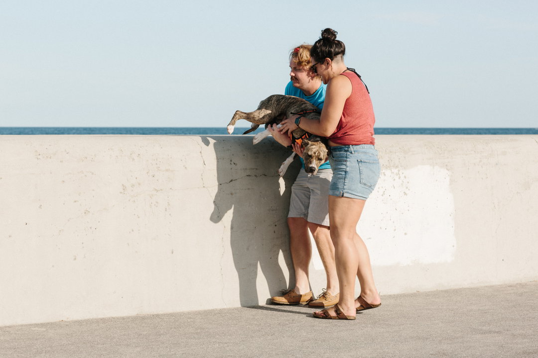 rachael-wright-the-wall-pho-itsnicethat11