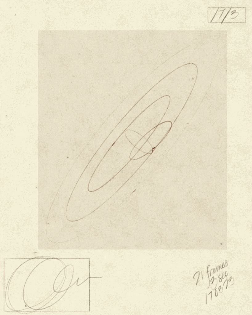iris-wildros-ani-itsnicethat06