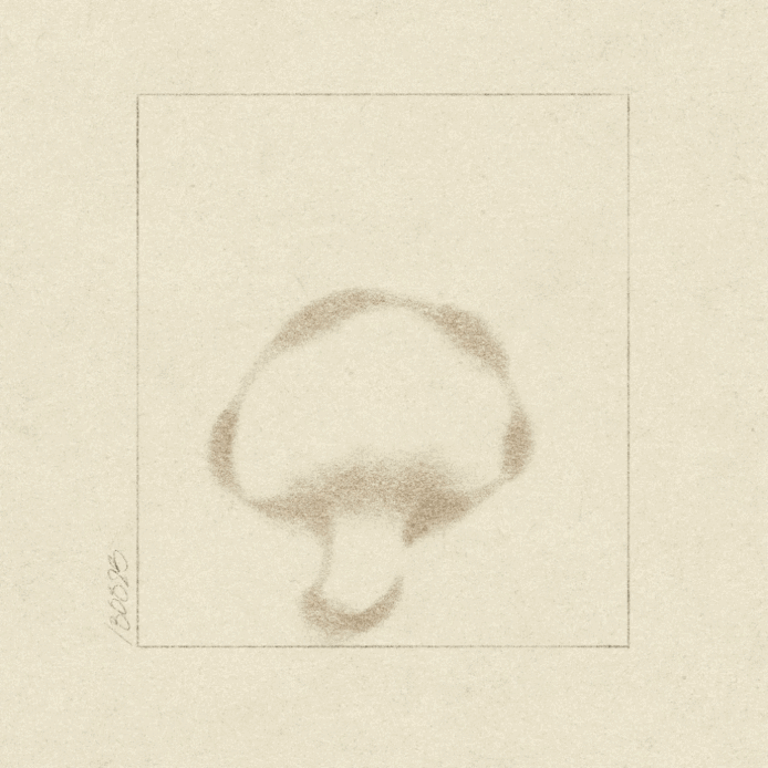 iris-wildros-ani-itsnicethat07