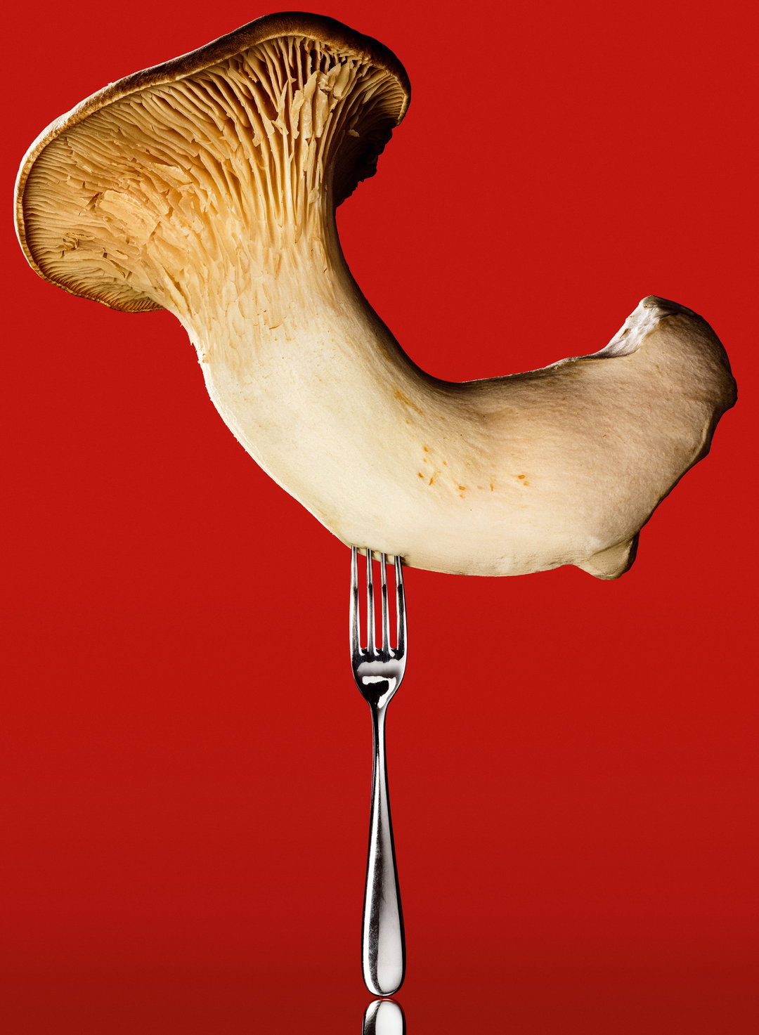the-gourmand-mushroom-publication-photography-itsnicethat03