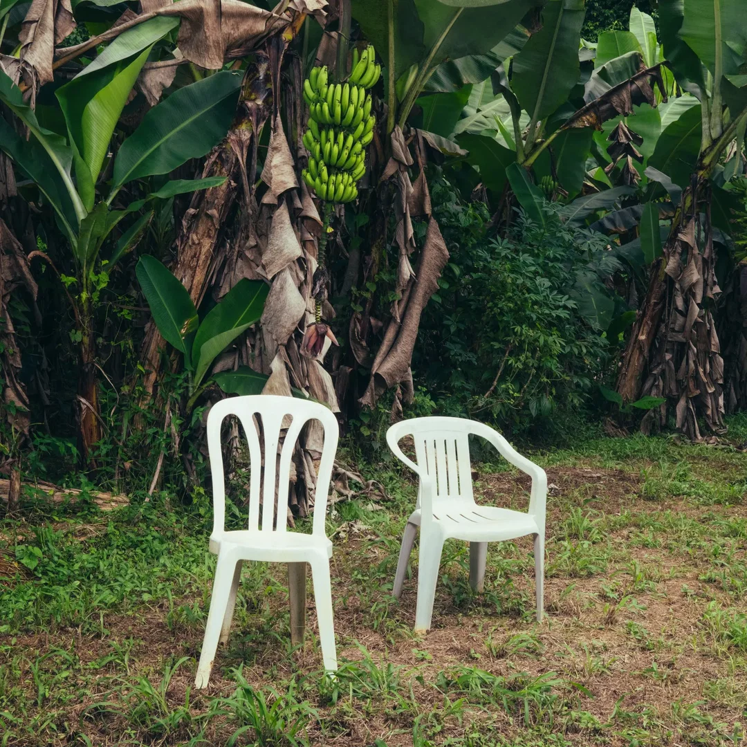 Best Album Cover Grammy_Bad Bunny's DeBÍ TiRAR MáS FOToS