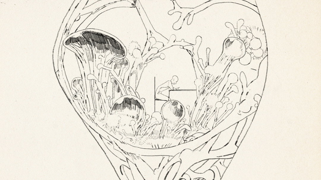 In Masanobu Hiraoka’s music video for Max Cooper a single line become a thousand forms