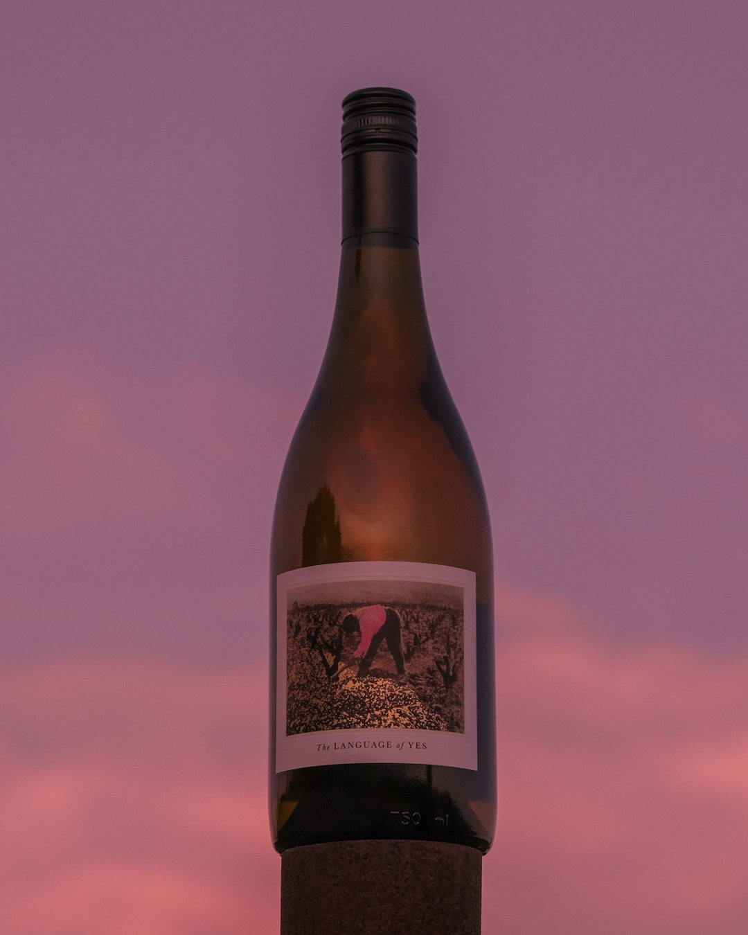 1_Public-Address-The-Language-of-Yes-Bottle_graphic design_itsnicethat.jpg