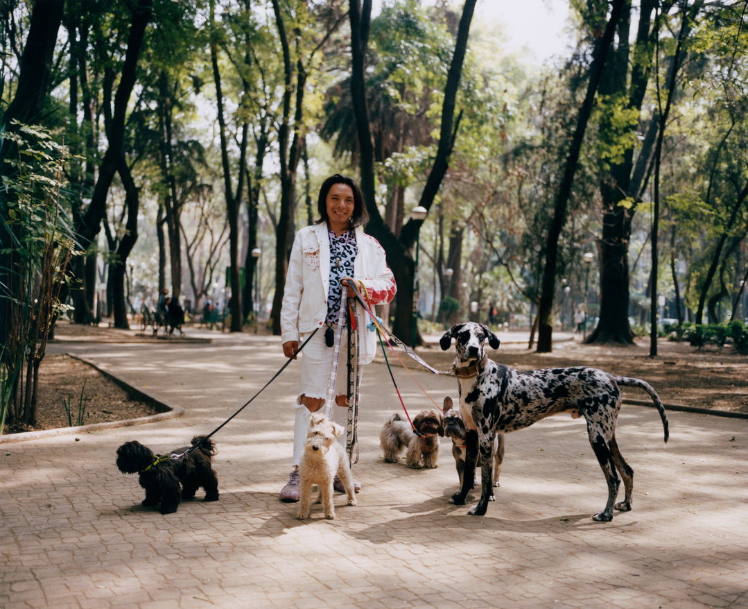 You’re in for a treat with Ella Pavlides’ photo series on Mexico City’s unsung heroes – dog walkers