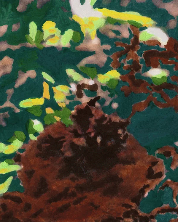 katy-wang-gabriel-greenough-ani-itsnicethat03