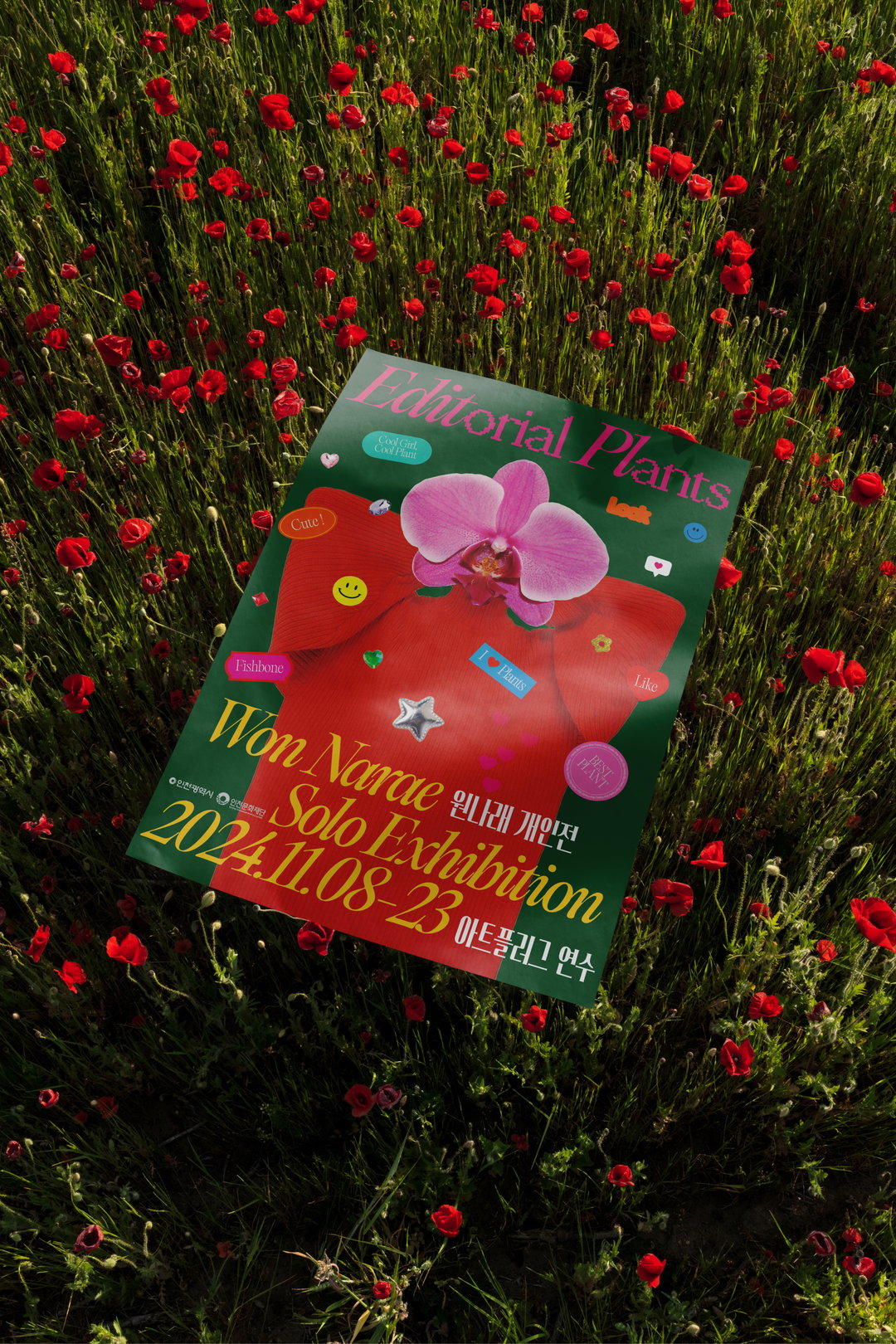 charry-kyung-graphic-design-dsicover-itsnicethat-02