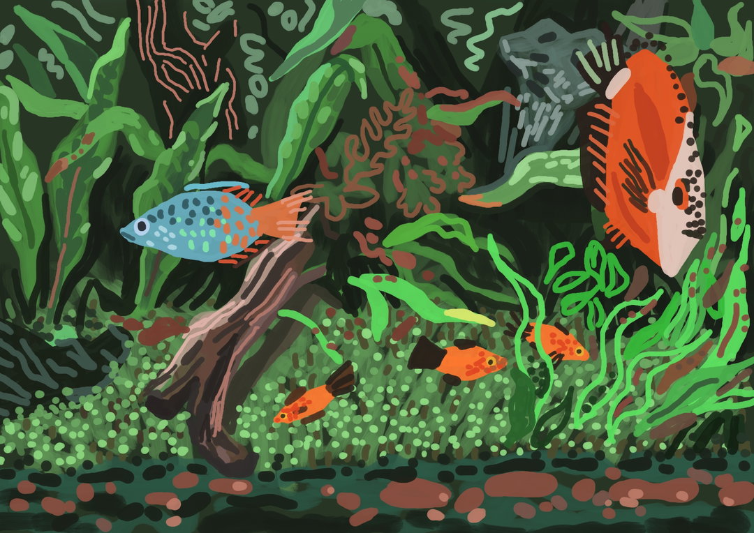 uu-illo-itsnicethat07