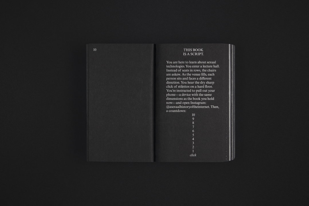 mindy-seu-laura-coombs-a-sexual-history-of-the-internet-publication-graphic-design01