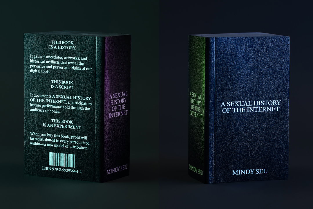 mindy-seu-laura-coombs-a-sexual-history-of-the-internet-publication-graphic-design06